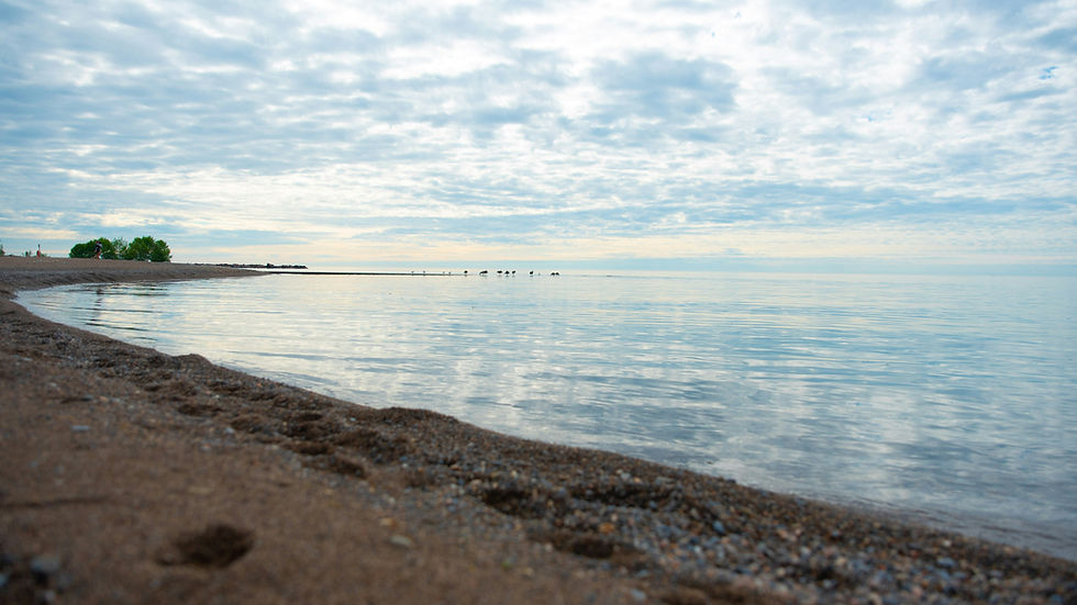 Calm pebbly beach under a cloudy sky, with still water and distant birds on the horizon.