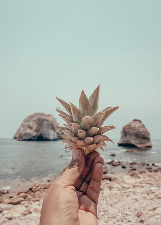 Image by Arusfly 🌿
