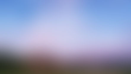 Contemplating Identity: Gender