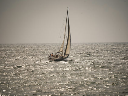 How Do You Deal With So Much Suffering?