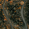 Image by Clay Banks