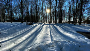 Planning & Zoning Commission Meeting