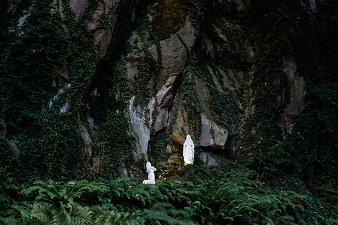 Image by Grant Whitty