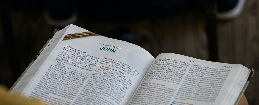 Image by Travis Emmett