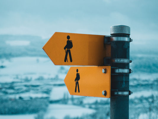 Directional signpost showing different strategic paths for education providers navigating MFHEA compliance in Malta