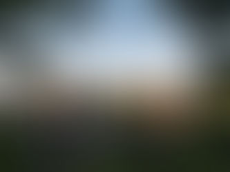 3 clients feature in this Telegraph piece on Bristol's property market