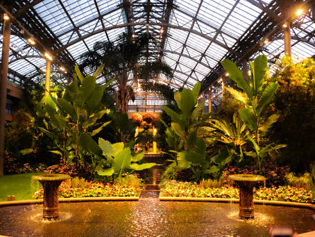 Top 5 Scenic Fall Escapes Near Philadelphia