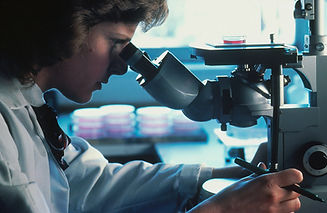Image by National Cancer Institute