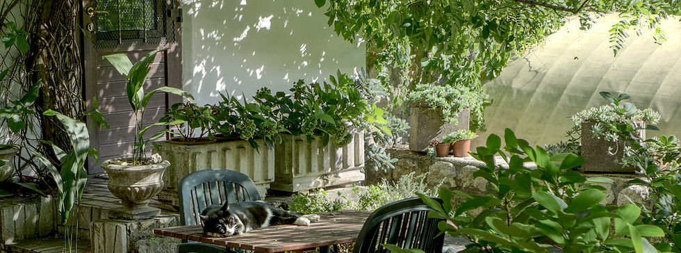 Image by Robin Wersich