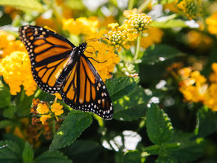 Transform the Relationship With Yourself