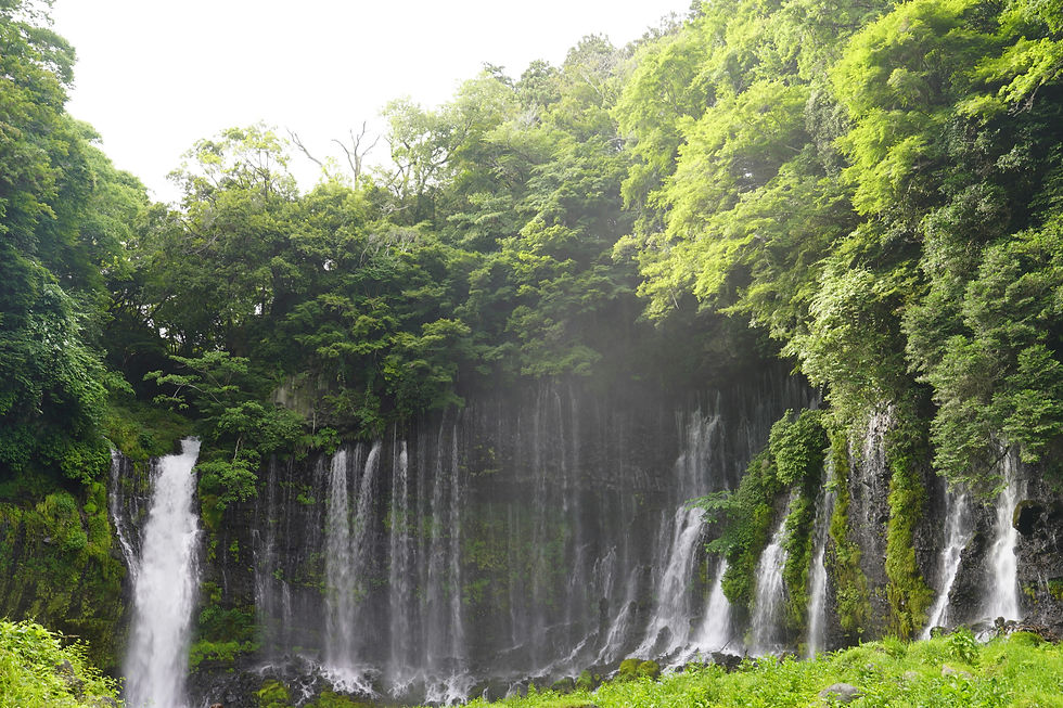 Los lugares imprescindibles que ver en la región de los Cinco Lagos del Monte Fuji
