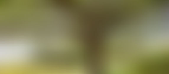 To the Girl on Eleanor Way: A Random 'Word' Generator Short Story Challenge