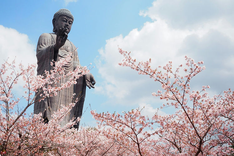 Image by Shino Nakamura