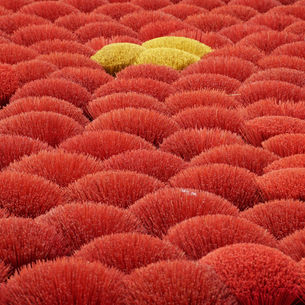 Cộng đồng người Việt toàn cầu - Sức mạnh kết nối trong kỷ nguyên mới