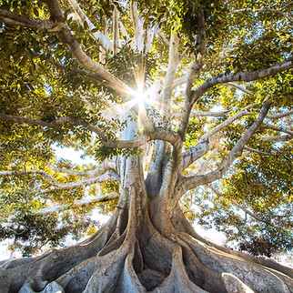 Image by Jeremy Bishop