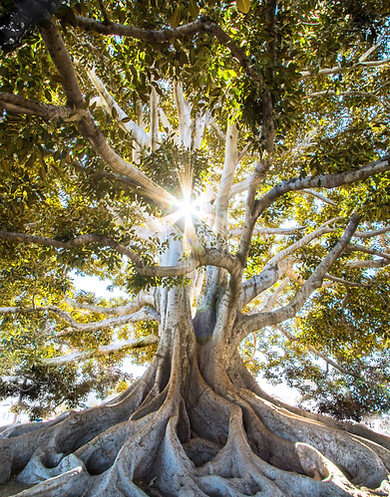 Image by Jeremy Bishop