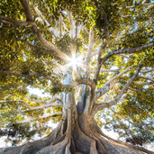Image by Jeremy Bishop