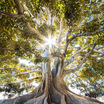 Image by Jeremy Bishop