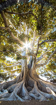 Image by Jeremy Bishop