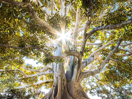 Image by Jeremy Bishop