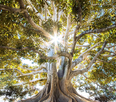 Image by Jeremy Bishop
