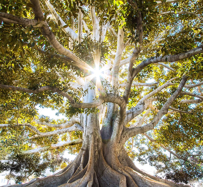 Image by Jeremy Bishop