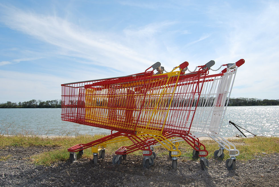 Judging People Who Don’t Return Shopping Carts