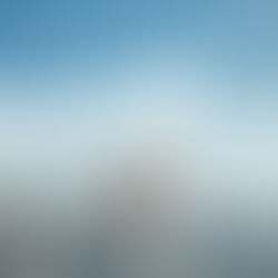 Term vs Whole Life: Which Is Right for You?