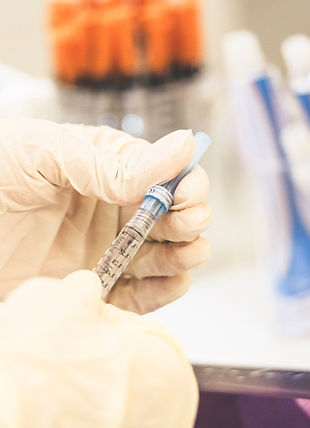 Image by Sam Moghadam Khamseh