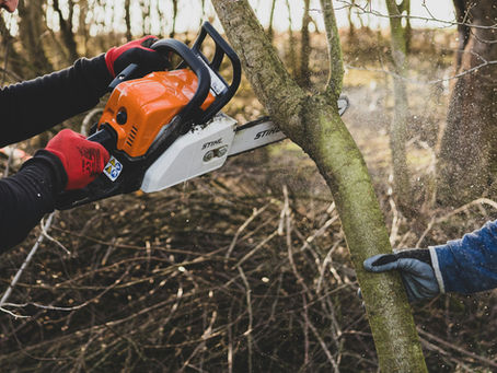 Trim Trees