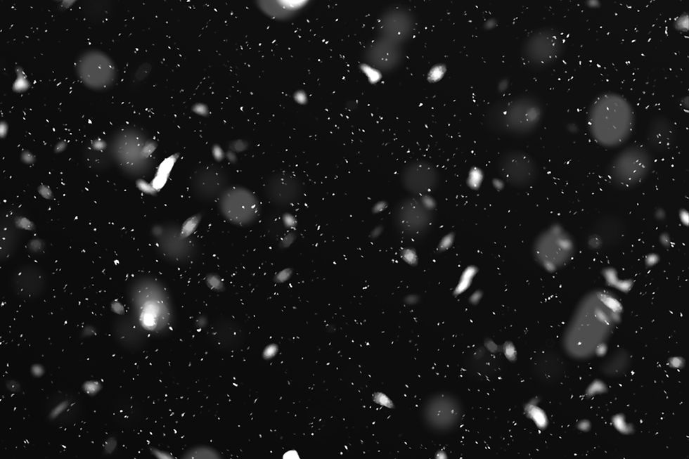 Snow falling against a black background