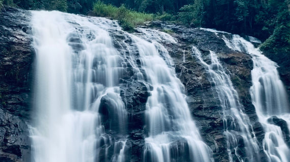 Image by Krishna Kumar
