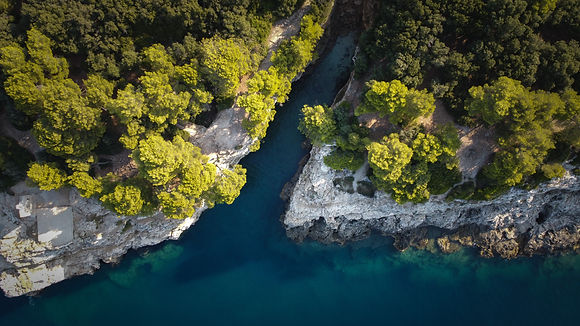 Image by Niklas Bischop
