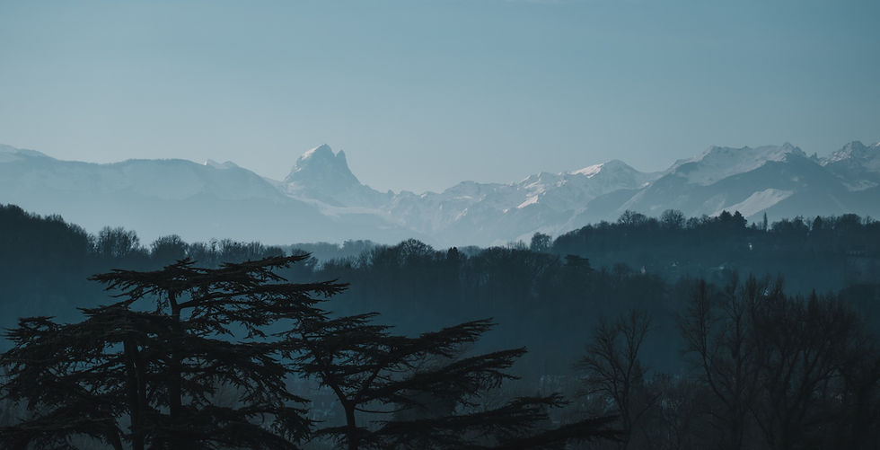 Image de David Samacoïts-Etchegoin
