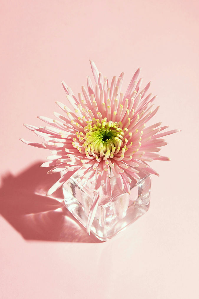 Image by Maria Lupan