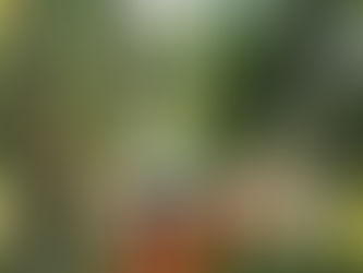 Before the Weekend: "Carry the Weight Well”