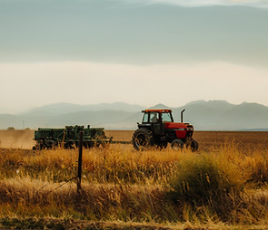 Image by Jakob Rosen