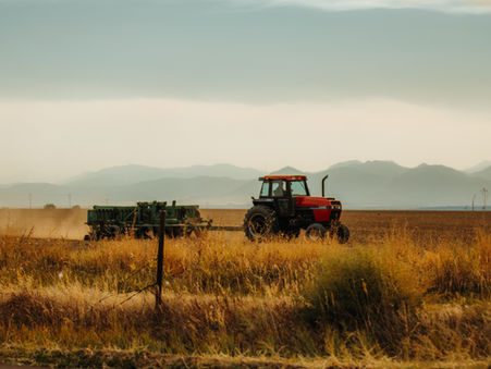 50 frases para celebrar o Dia do Trabalhador Rural