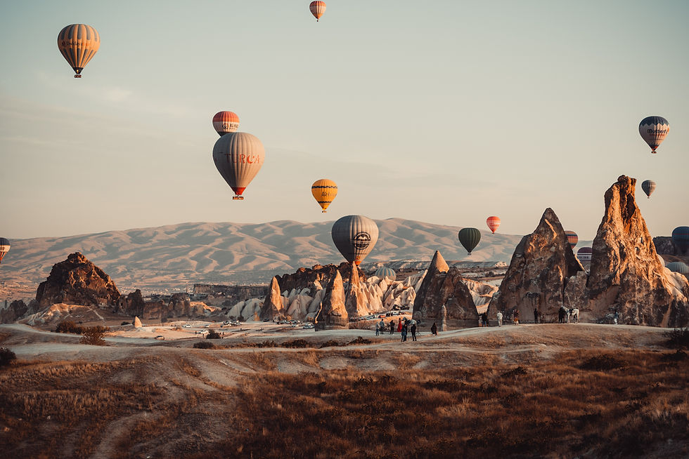 Image by Timur Garifov