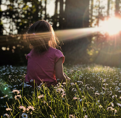 Image by Melissa Askew