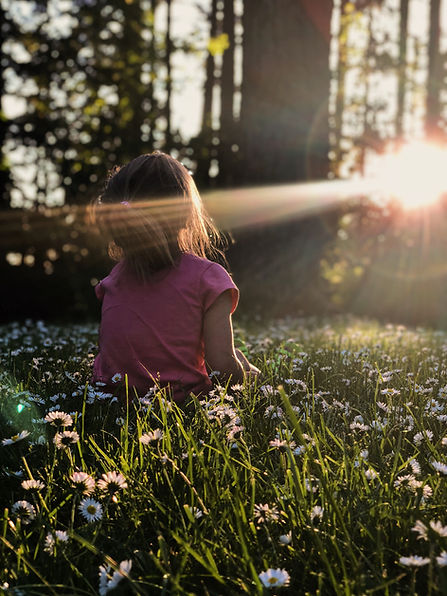 Image by Melissa Askew