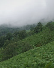 Image by Les Argonautes