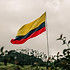 Cordyceps supplier for Colombia