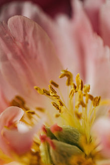 Image by Liisi V