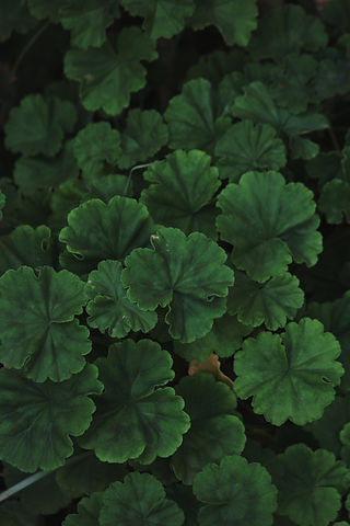 Image by Nishant Agarwal