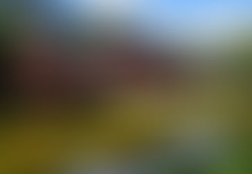 IPTU: Entidades religiosas recebem cobranças indevidas de municípios.