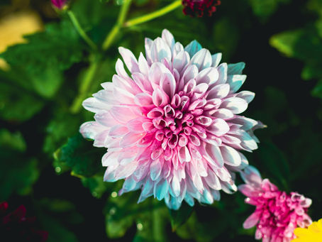 Latihan Soal SAS PAS PAI BP Kelas 4 SD Kurikulum Merdeka