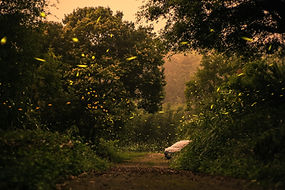 Image by Kevin Wang
