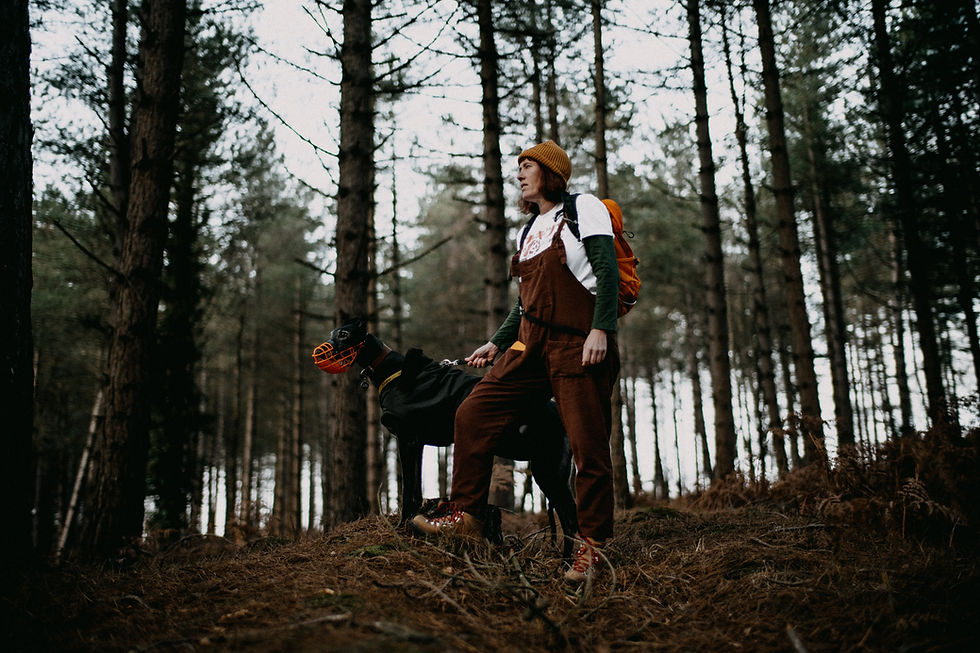 A man walking a dog on a leash through the woods