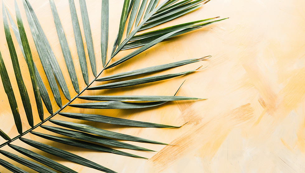 Image by Brooke Lark